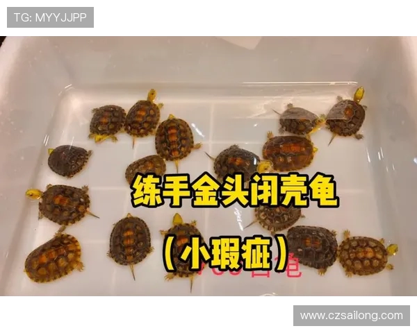 瀛欑户娴峰姏鎸烘柊浜猴細鏁欑粌搴斿敖鏃╁惎鐢ㄥ勾杞讳汉锛屼腑鍥藉コ鎺掑凡楠岃瘉姝ら亾